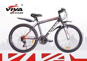Велосипед Viva Pro STREET (22)