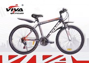 Велосипед Viva Pro STREET (22)